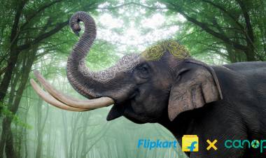 Flipkart and Myntra Join Hands with Canopy to Advance Sustainability Efforts and Conserve Forests