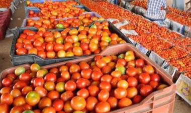 பண்ணை பசுமை நுகர்வோர் கடைகளில் நாளை முதல் குறைந்த விலையில் தக்காளி விற்பனை.: அமைச்சர் ஐ.பெரியசாமி