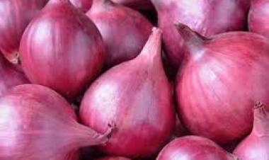 வெங்காய ஏற்றுமதி மீதான தடை நீட்டிப்பு