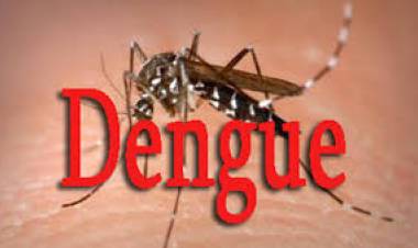 டெங்கு காய்ச்சலால் 8 பேர் உயிரிழப்பு