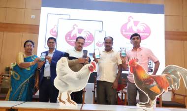 DIAMOND FRESH CHICKEN APP BRINGS FRESH CHICKEN TO YOUR DOORSTEP IN JUST 60 MINUTES