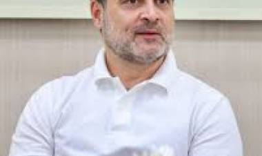 BJP MP Nishikant Dubey Demands Termination Of Rahul Gandhi's Parliament Membership