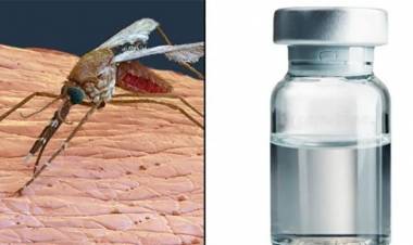 கொசுக்களை பறக்கும் தடுப்பூசிகளாக மாற்றும் புதிய தொழில்நுட்பத்தை கண்டுபிடித்த சீனா!