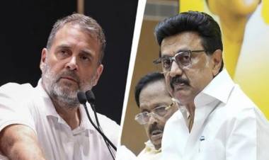 DMK to skip INDIA bloc meeting on June 8, hits out at Congress
