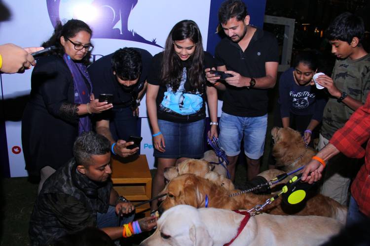  Pet’s Day Out at Novotel Hyderabad Airport