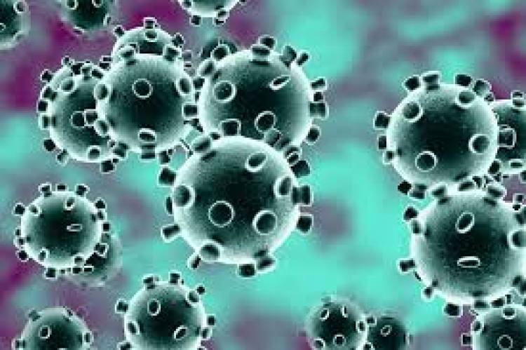 Third coronavirus case reported from India
