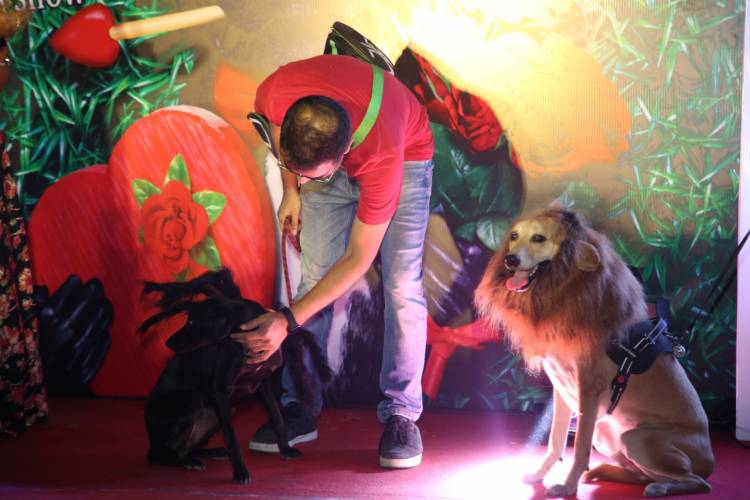VR Chennai presents 'Valentine's Blind Date', an exclusive Valentine’s Day dog show on 15th February 2020