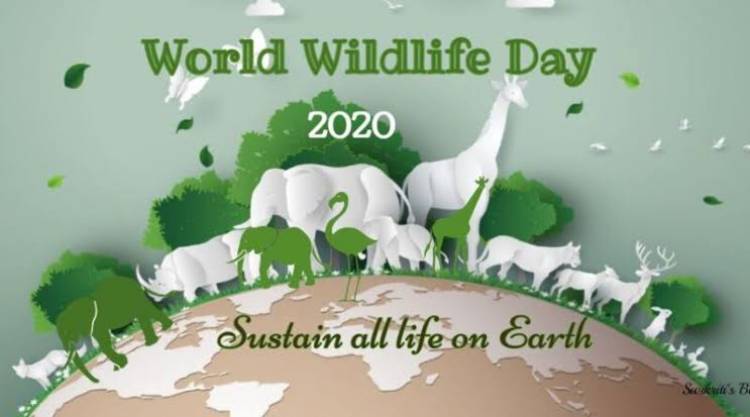 World Wildlife Day to celebrate and raise Awareness of the World Wild Animals and plants