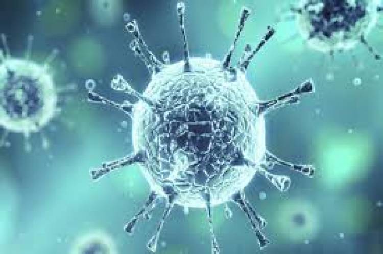 China reports 16 new coronavirus cases, total tally reaches 82,881