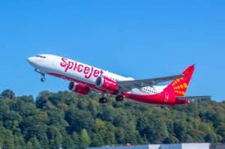 Impact of COVID-19 on SpiceJet Q1 Results -posts loss due to flight suspension