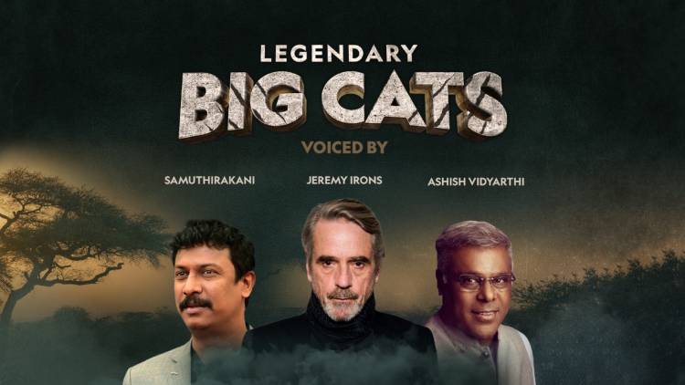 With Legendary Big Cats, I got an opportunity to bring a little bit of my own personality to an all-new series on Nat Geo Wild; says Indian actor and director Samuthirakani 