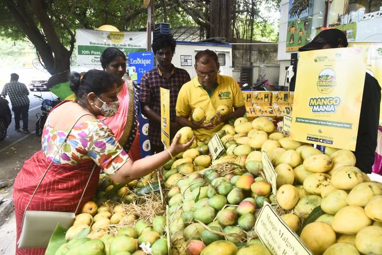 SunnyBee Kickstarts Its Week-long Mango Mela with an exclusive Farmers Market