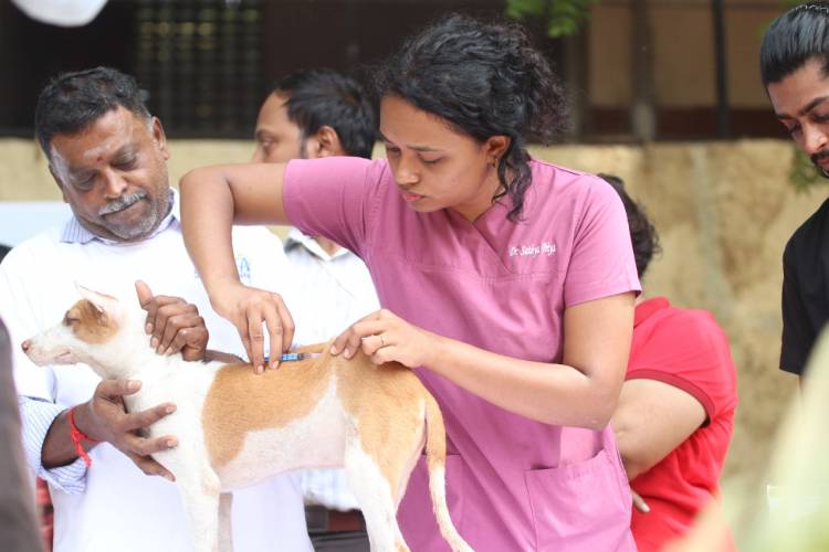 WORLD RABIES DAY : HFA IN ASSOCIATION WITH VELAMMAL NEXUS CONDUCTS A MEGA VACCINATION DRIVE FOR STRAY DOGS IN CHENNAI