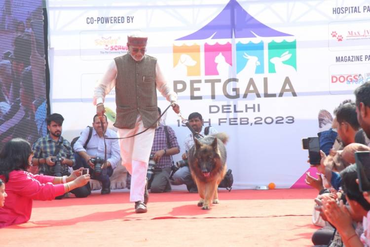 India's biggest Dog and Cat Show: PetGala Delhi organised  at Noida Expo Centre in Delhi-NCR