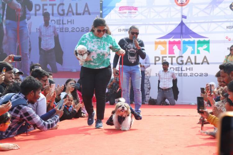 India's biggest Dog and Cat Show: PetGala Delhi organised  at Noida Expo Centre in Delhi-NCR