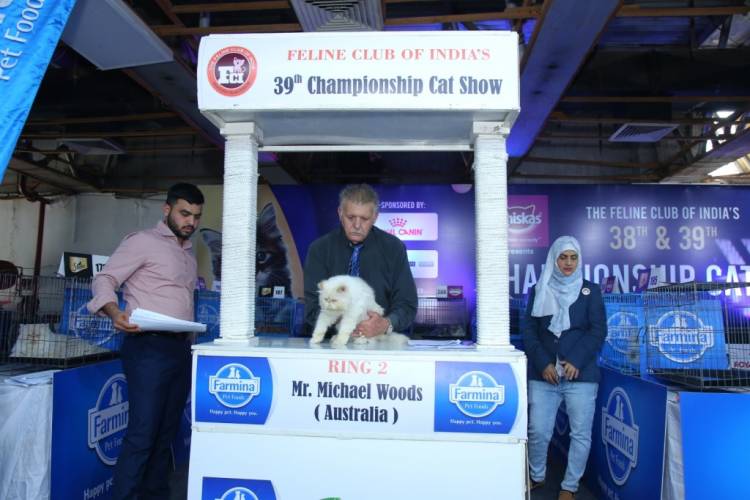 India's biggest Dog and Cat Show: PetGala Delhi organised  at Noida Expo Centre in Delhi-NCR