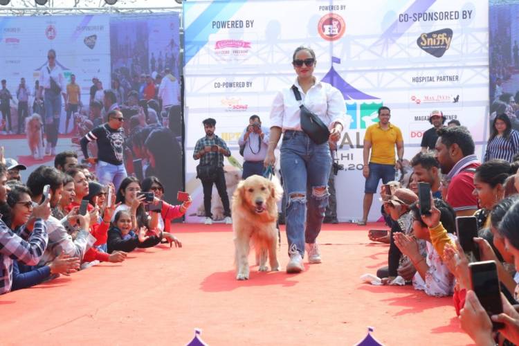 India's biggest Dog and Cat Show: PetGala Delhi organised  at Noida Expo Centre in Delhi-NCR
