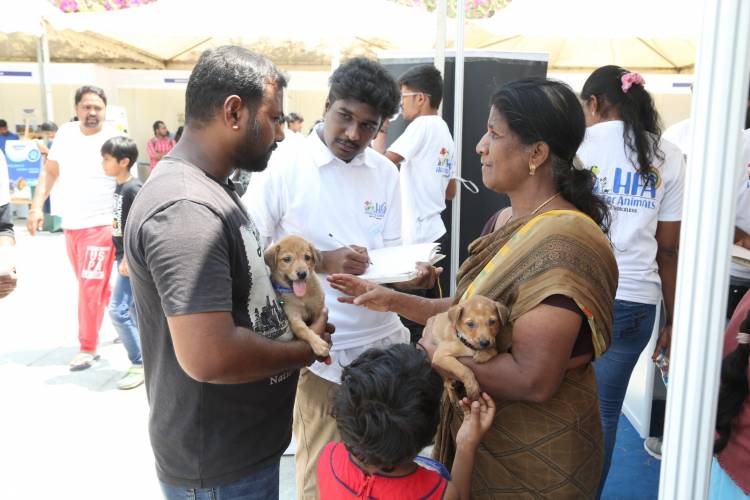 HEAVEN FOR ANIMALS CONDUCTS A MEGA VACCINATION DRIVE FOR  1100 STRAY DOGS IN CHENNAI