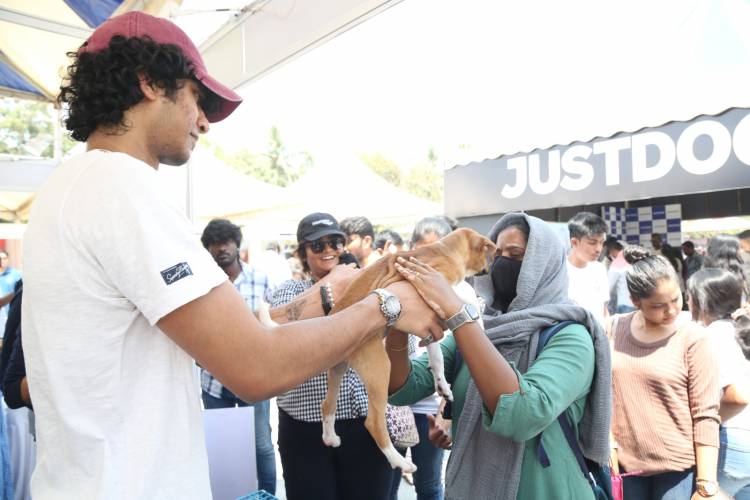 HEAVEN FOR ANIMALS CONDUCTS A MEGA VACCINATION DRIVE FOR  1100 STRAY DOGS IN CHENNAI