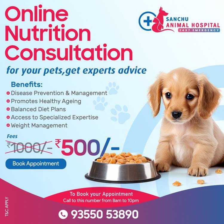 SANCHU Animal Hospital Launches Innovative Online Nutrition Consultation Service for Pets