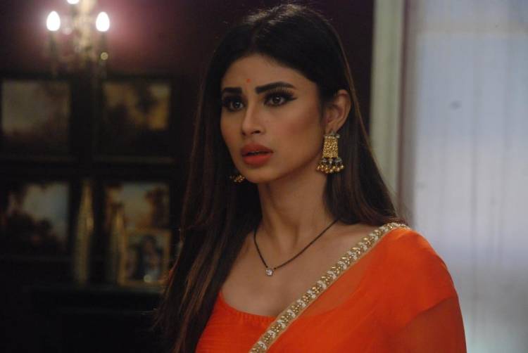 கலைஞர் தொலைக்காட்சியில் விறுவிறுப்பான தொடர் "நாகினி"