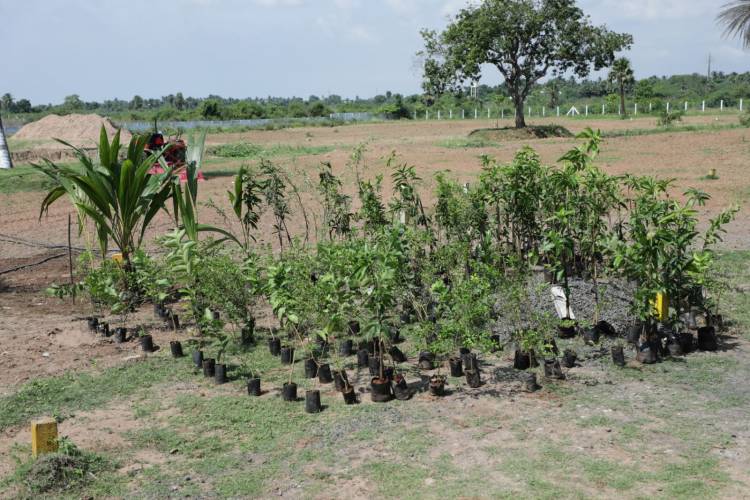 தமிழகம் முழுக்க 5000 மரக்கன்றுகளை நடும் நடிகர் சௌந்தரராஜா