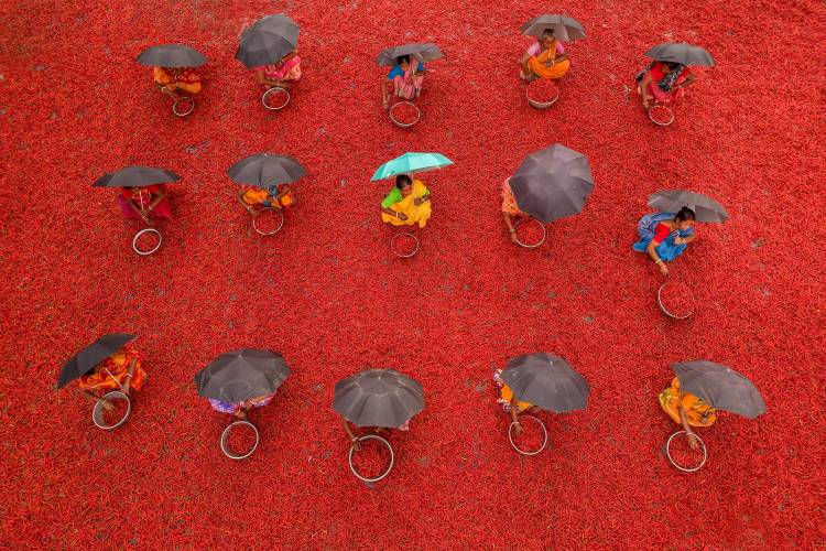 One World, Many Frames: winners of Sony BBC Earth's photography contest announced