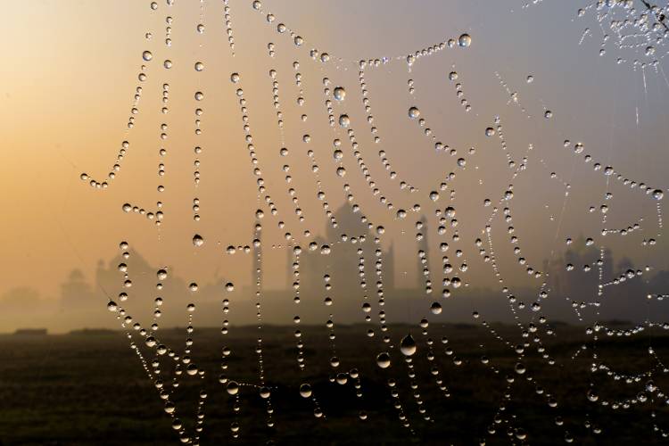 One World, Many Frames: winners of Sony BBC Earth's photography contest announced