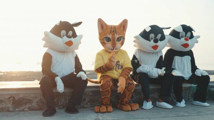 Allana Consumer Products Ventures into the Cat Food Market