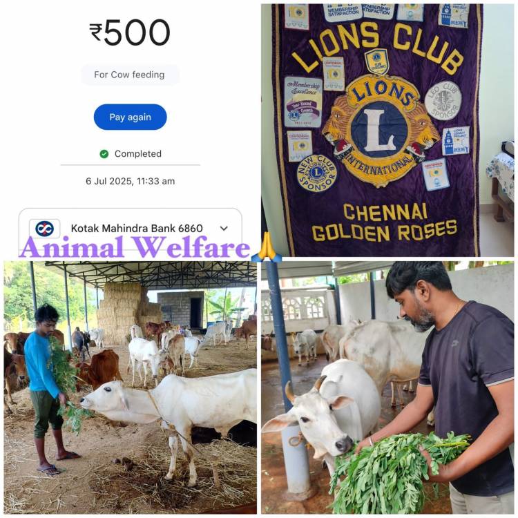 Project Number:8 Animal Welfare- Sponsored amount towards Cow feeding with Agathikeerai at Sri Venkatakrishna Gosamrakshana Shala.  Donor: Ln. Radharani.K.