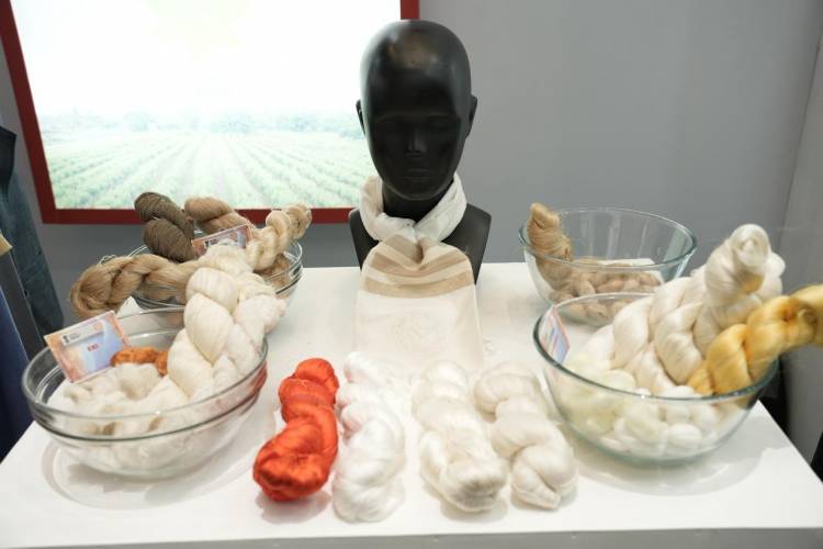 Central Silk Board, Ministry of Textiles, Govt. of India 