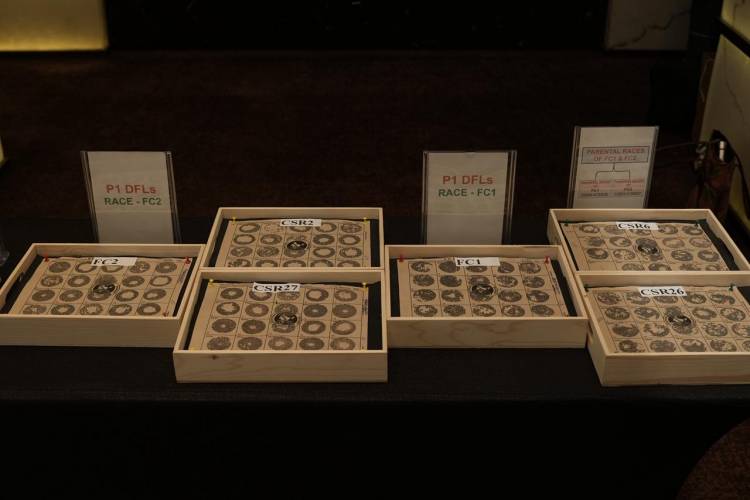 Central Silk Board, Ministry of Textiles, Govt. of India 