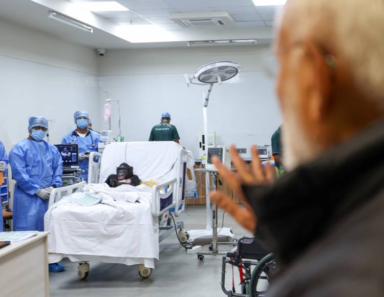 VANTARA FOUNDATION DAY: ONE YEAR AFTER INAUGURATION BY PRIME MINISTER NARENDRA MODI, MANY ANIMALS RESTORED TO HEALTH AND RETURNED TO THE WILD