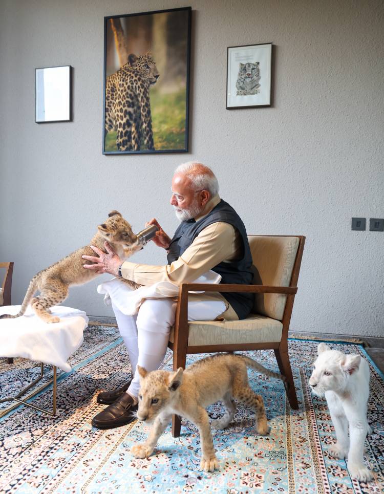 VANTARA FOUNDATION DAY: ONE YEAR AFTER INAUGURATION BY PRIME MINISTER NARENDRA MODI, MANY ANIMALS RESTORED TO HEALTH AND RETURNED TO THE WILD