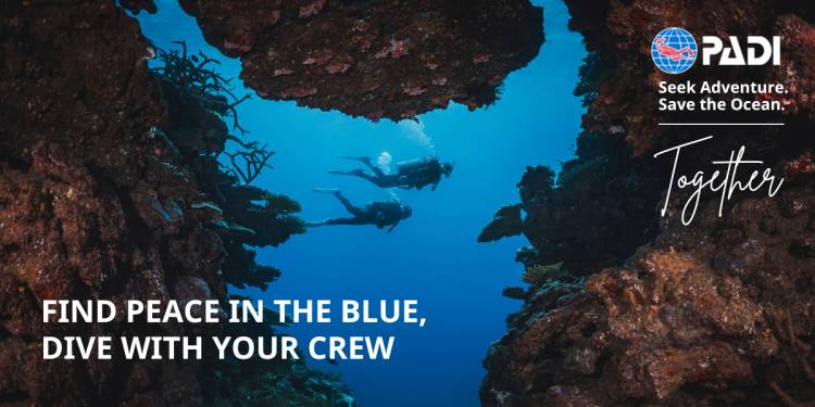 PADI’s ‘Dive Together’ Campaign Encourages Community-Led Growth in Recreational Diving