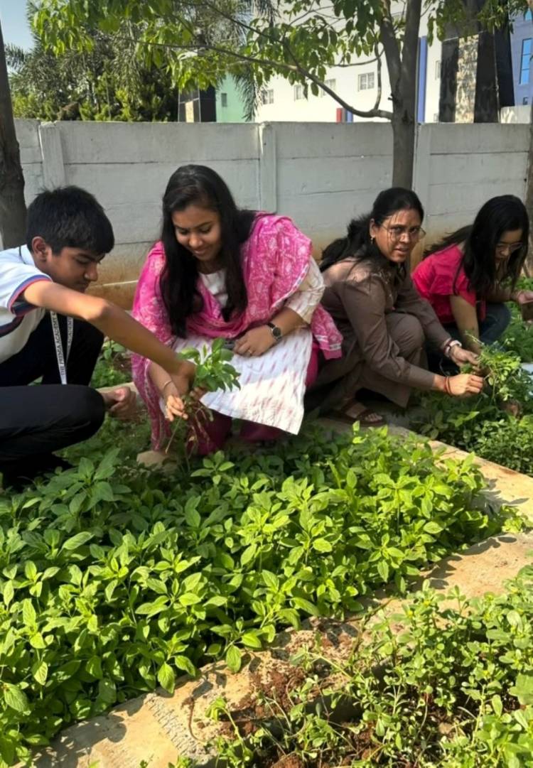 Harvest Day at The Premia Academy – From Soil to Soul 