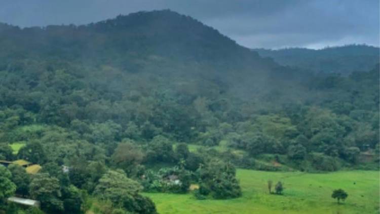 American tourist alleges sexual assault at Kodagu homestay; owner and employee arrested