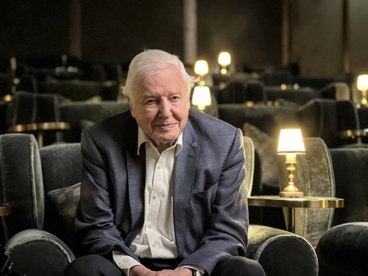 Sony BBC Earth Marks Sir David Attenborough’s 100th Birthday with Exclusive Premiere of ‘Making Life on Earth: Attenborough’s Greatest Adventure’