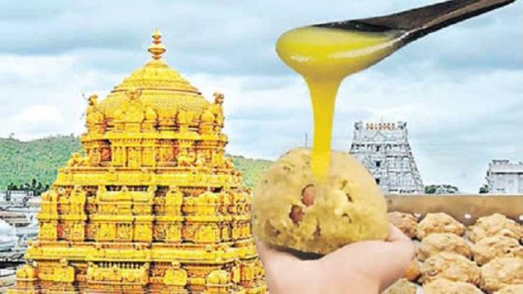 TTD Ghee Adulteration Report Criticizes Temple Administration