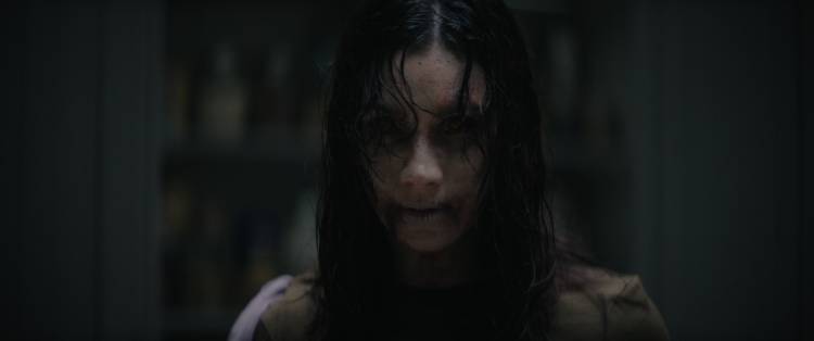 சோனி பிக்சர்ஸ் என்டர்டெயின்மென்ட் இந்தியா வழங்குகிறது  - EVIL DEAD BURN