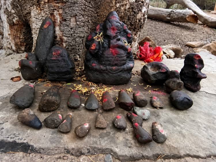 #History மரணபயத்தைக் காட்டிய அந்த மறக்க முடியாத கள ஆய்வு அனுபவம்!