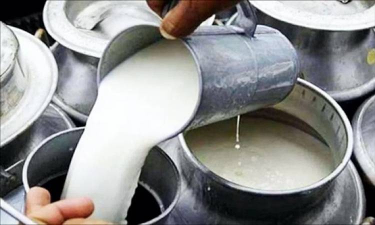 Milk prices set for another increase as dairy costs climb
